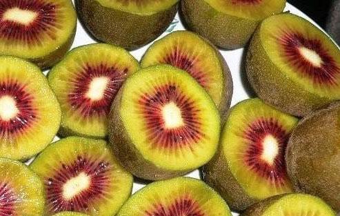 Kết quả hình ảnh cho quả kiwi